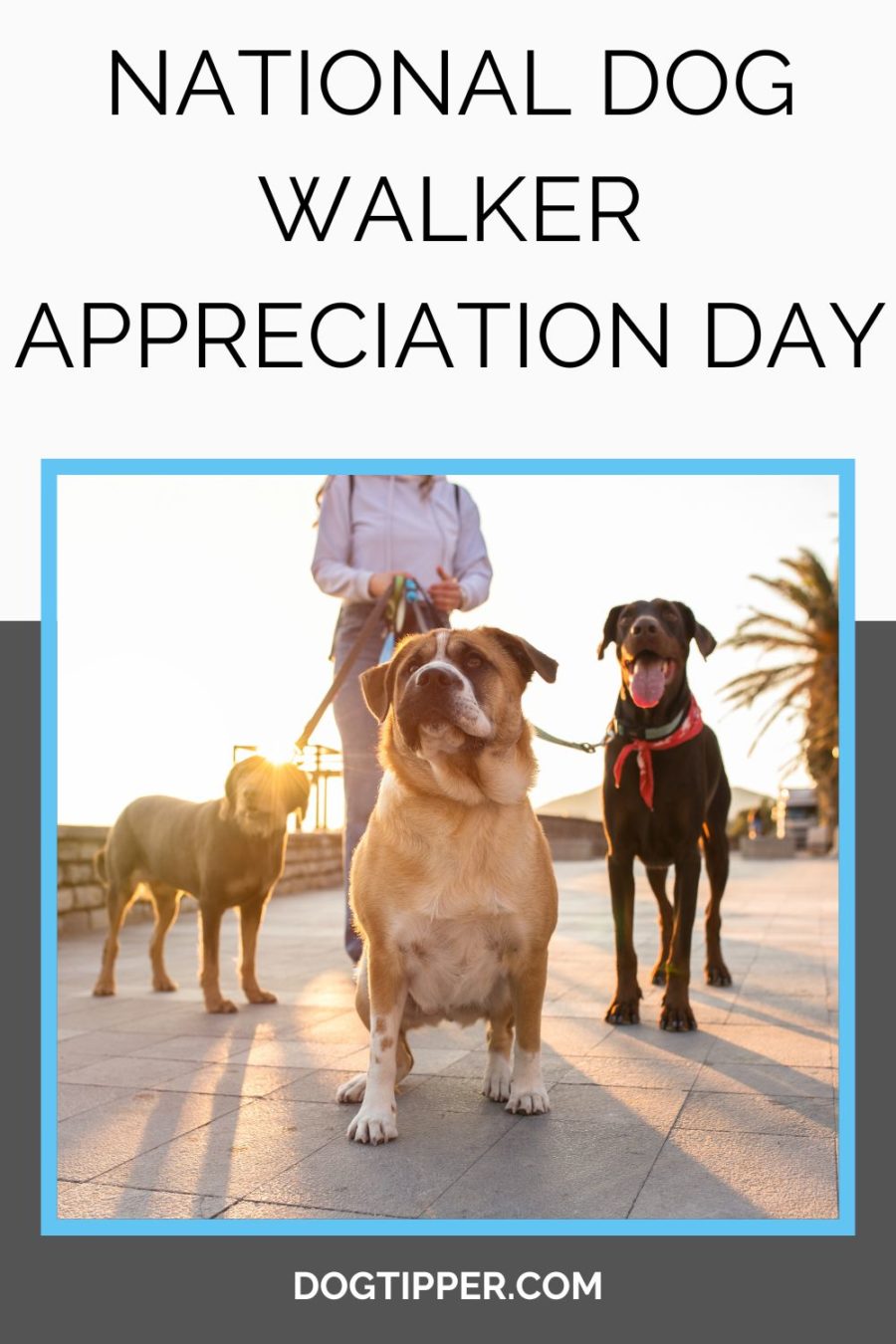 Día Nacional de Pasear Perros