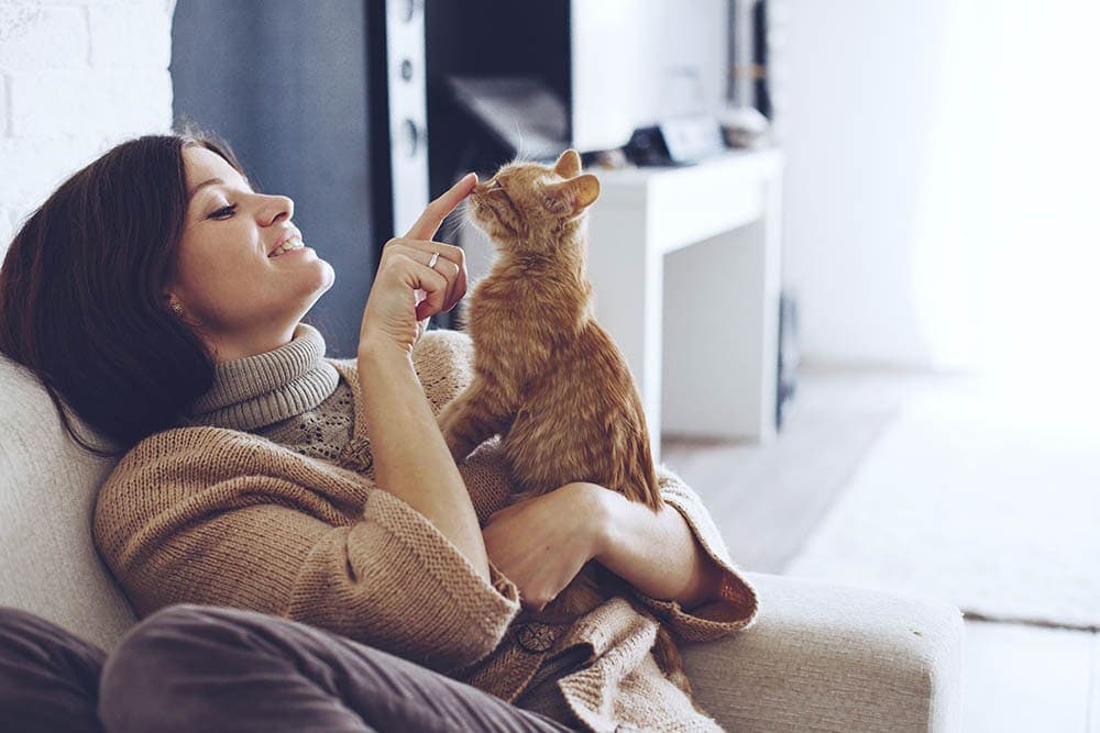 Una mujer joven que lleva un suéter caliente descansa con un gato.