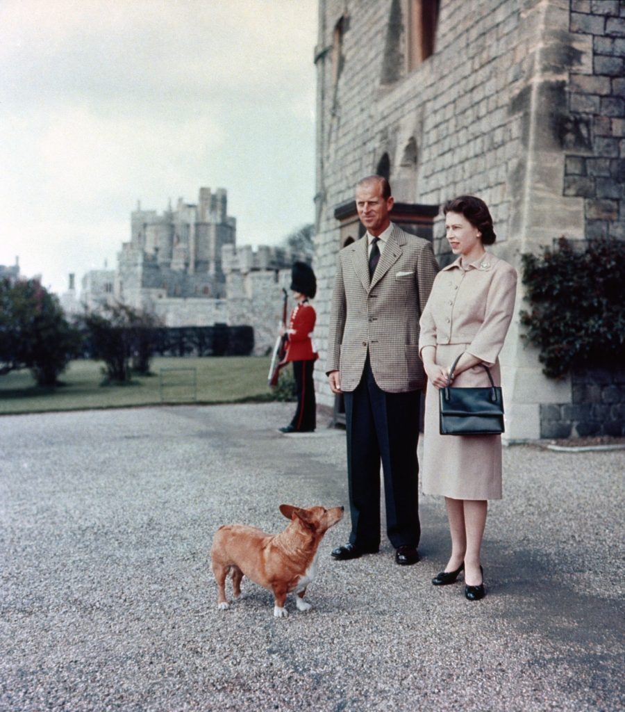 Royal Corgi: una mirada a la raza de perro favorita de la reina Isabel