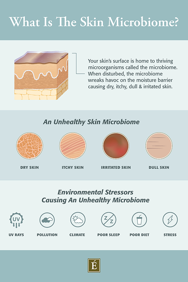 ¿Qué es el microbioma de la piel?