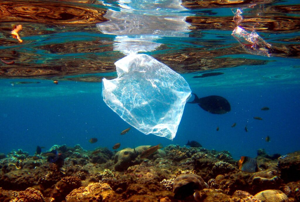 WWF: Siete de cada diez personas apoyan la lucha contra la contaminación plástica