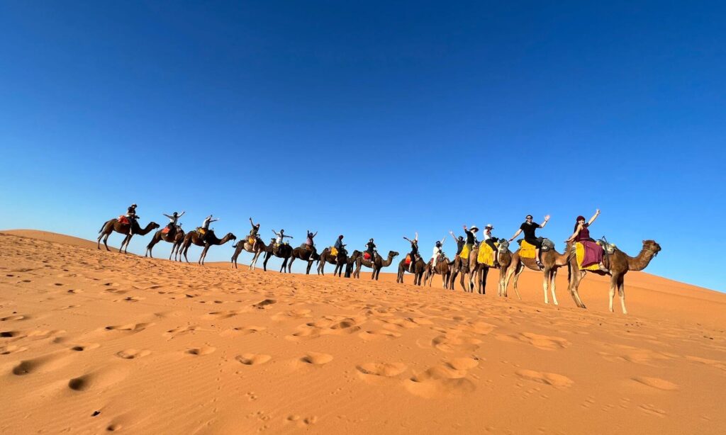 Participantes en la ruta en camello de Nomadic Network en Marruecos