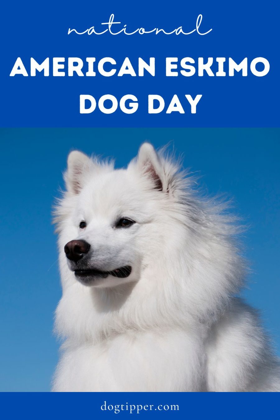 Día Nacional del Perro Esquimal Americano