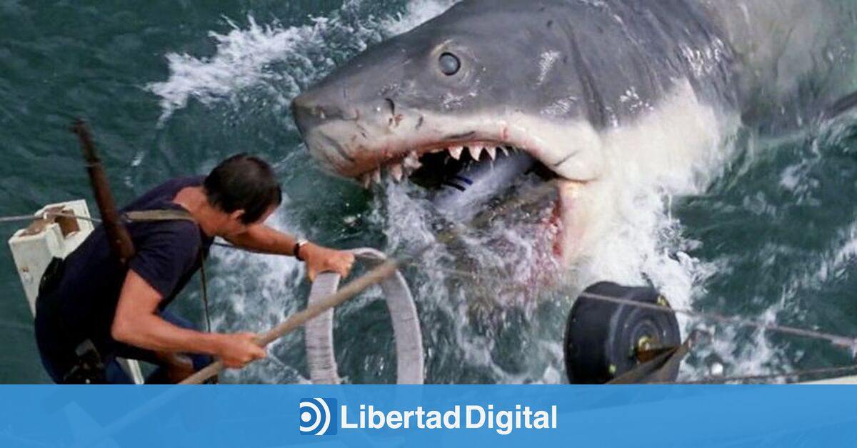Spielberg se disculpa con Sharks por el impacto de su película