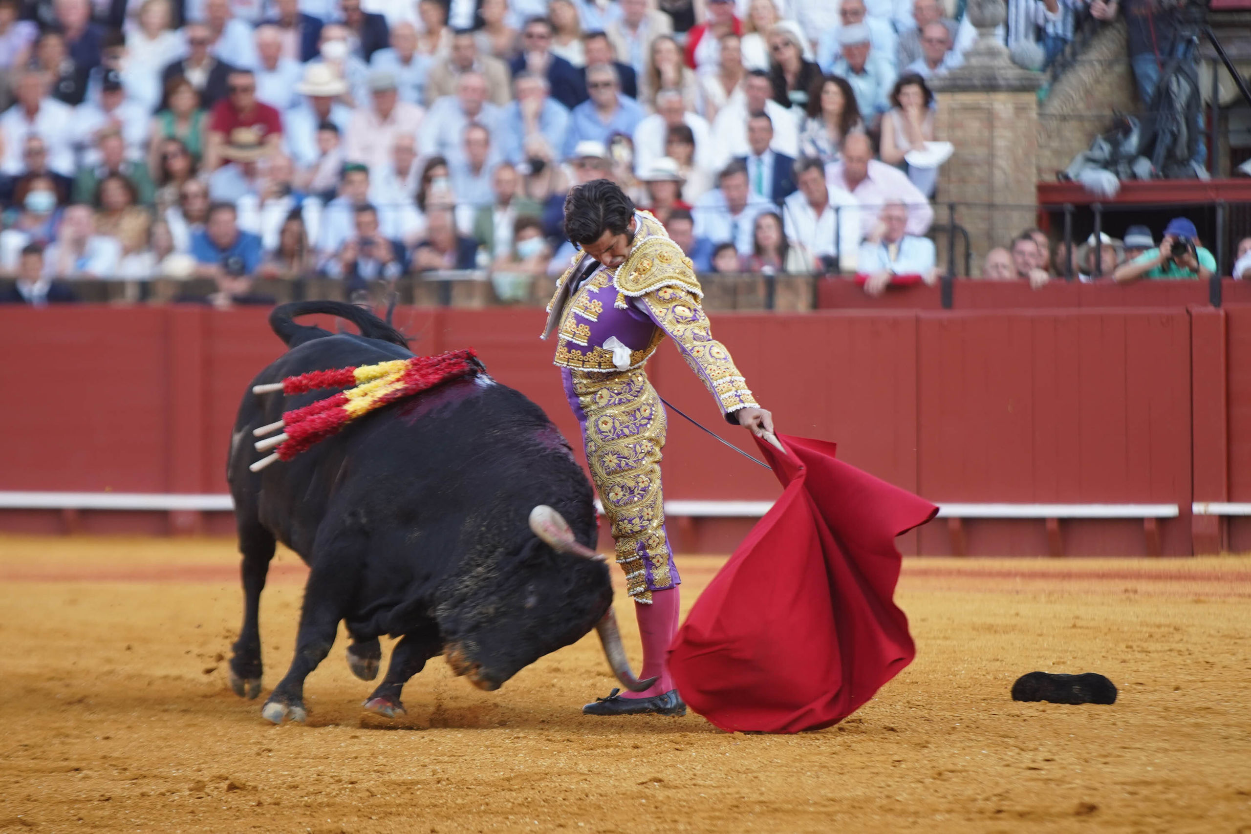 Sevilla da a conocer la lista de ganaderos para la temporada taurina de 2023
