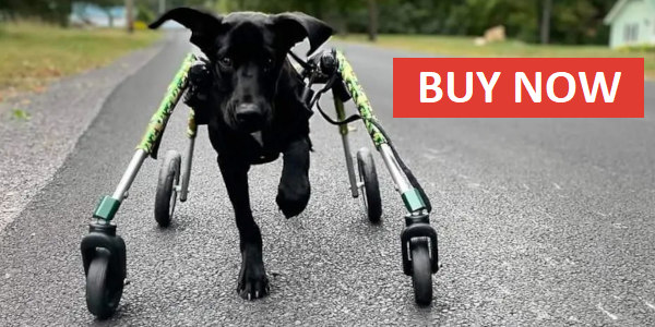 Walkin' Wheels Silla de ruedas para perros con soporte completo comprar ahora