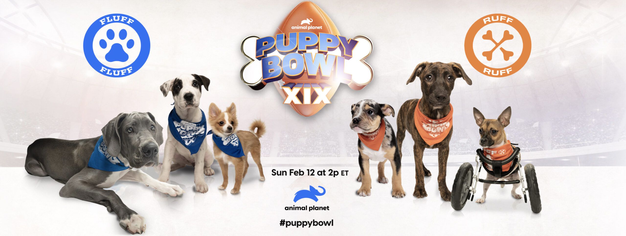 El Puppy Bowl regresa en 2023