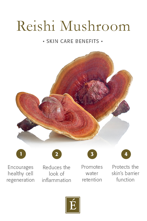 Infografía: Beneficios del hongo reishi para el cuidado de la piel