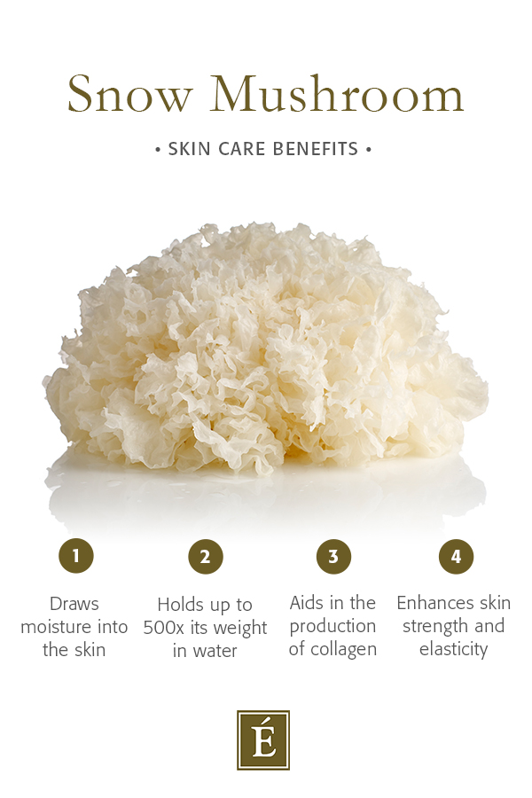 Infografía: Beneficios del cuidado de la piel con hongos de nieve