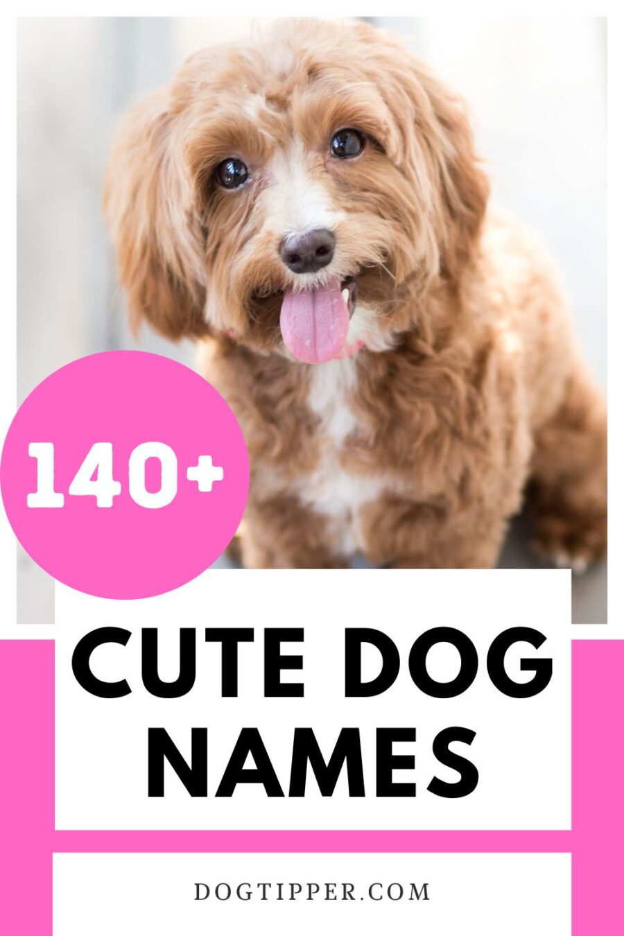 Más de 140 lindos nombres para tu nuevo cachorro o perro