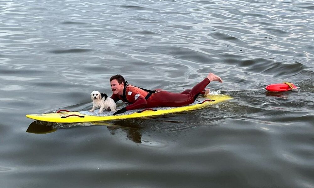 Los rescatistas rescataron a un pequeño perro que flotaba solo en el océano