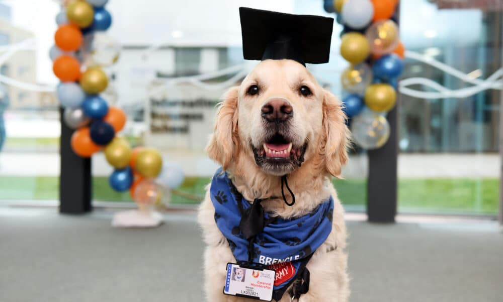 Perro de terapia de la Universidad de Teesside recibe 'Dogtorate' honorario